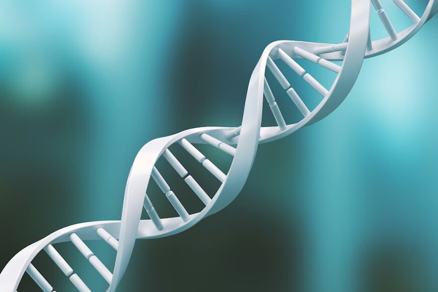 Bioinformatics and molecular biology training
