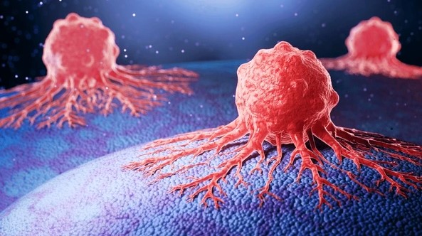 Cancer biology research in biotechnology labs