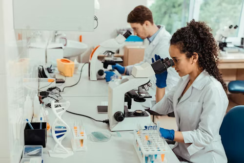 Biotechnology student project work in Chennai laboratory